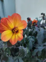 20250915_105633.webp