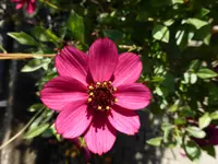 P1150911.webp