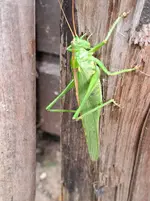 20250915_121122.webp