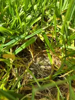 IMG_4242 Large.webp