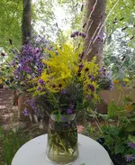 IMG_20250914_173416.webp