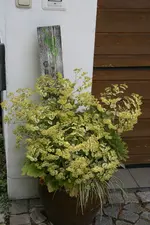 Empfangskomitee 0522.webp