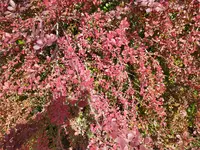 IMG_20250905_121553.webp