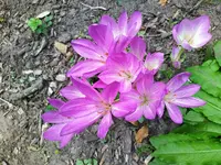 IMG_20250908_133637.webp