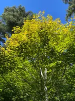 IMG_2709.webp