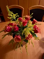 IMG_7568.webp