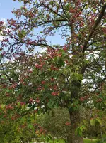IMG_20250905_115710_1.webp