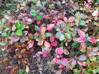 IMG_20250908_141927.webp