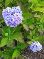 IMG_20250905_123107_1.webp
