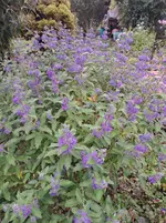 20250908_103139.webp