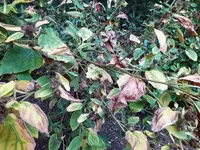 IMG_20250908_142529.webp