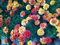 IMG_20250905_124807.webp