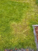 20250913_190110.webp