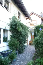 Weiki  0225.webp
