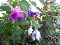 011.webp