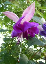 012.webp