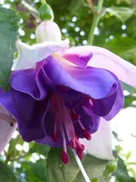 018.webp