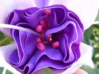 022.webp