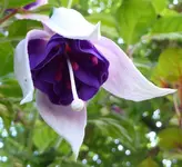 024.webp