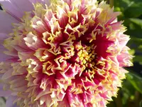 010.webp