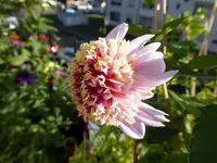 012.webp