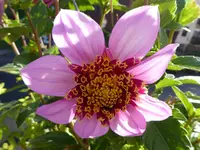 001.webp