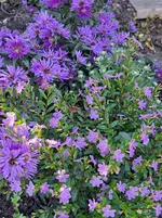 20250918_164110.webp