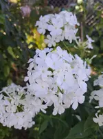 20250918_163224.webp