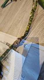 20250920_093746.webp