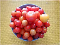 c029.webp