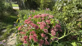 IMG_6340.webp