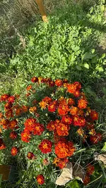 IMG_6316.webp