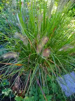 IMG_20250920_164248_1.webp
