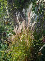 IMG_20250920_164259_1.webp