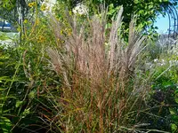 IMG_20250920_164431_1.webp