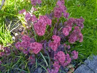 IMG_20250920_163329_1.webp