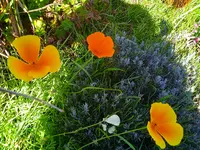IMG_20250920_163347.webp