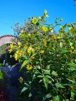 IMG_20250920_163814_1.webp