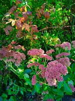 IMG_20250920_163843_1.webp