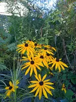 IMG_20250920_164025.webp