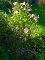 IMG_20250920_164118_1.webp