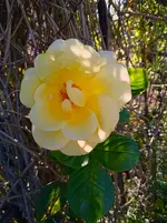 IMG_20250920_164219.webp