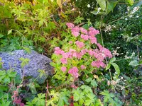 IMG_20250920_164416_1.webp