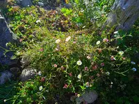IMG_20250920_164615.webp