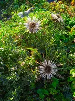 IMG_20250920_164646_1.webp