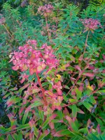 IMG_20250920_165227_1.webp