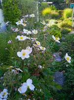 IMG_20250920_165248_1.webp