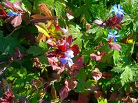 IMG_20250920_165325.webp