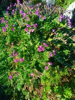 IMG_20250920_165333.webp