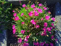 IMG_20250920_165615.webp